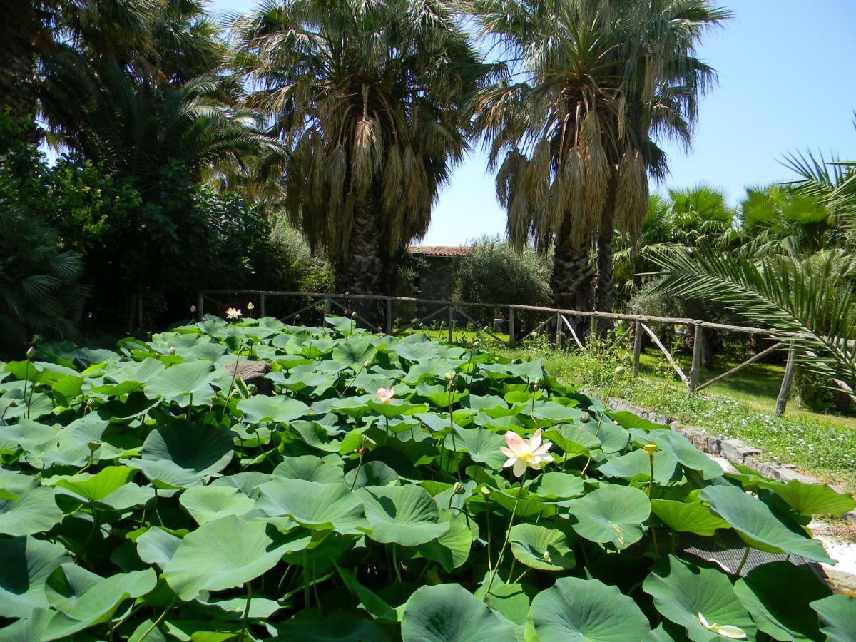 Agriturismo Gianferrante Paterno  Εξωτερικό φωτογραφία